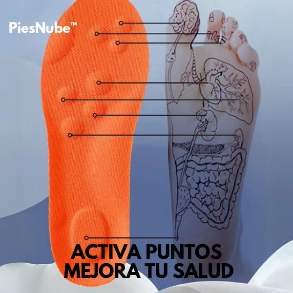 PiesNube