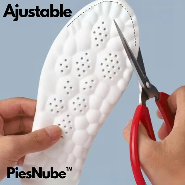 PiesNube